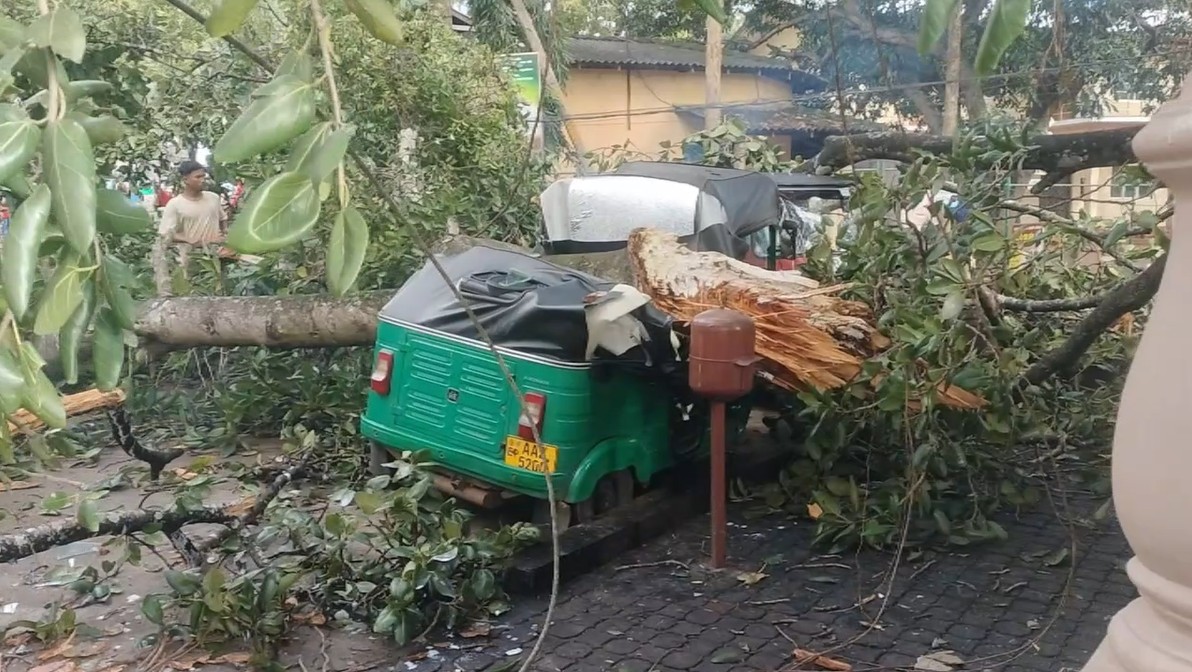 கந்தளாய் வைத்தியசாலைக்கு முன்னால் இருந்த பாரிய இத்தி மரம் வீழ்ந்து விபத்து: முச்சக்கர வண்டிகள் சேதம்!