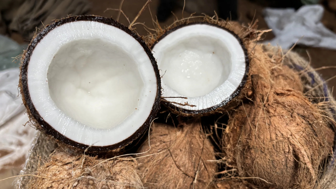 கடந்த ஆண்டில் 1 பில்லியன் ‍அமெரிக்க டொலர்களை எட்டிய தேங்காய் சார்ந்த ஏற்றுமதி!