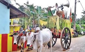 உழவர் திருநாளின் பட்டிப் பொங்கல் இன்று!