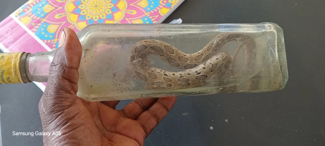 கிளிநொச்சியில் பாம்புக்கடிக்கு இலக்காகி இளைஞன் உயிரிழப்பு!