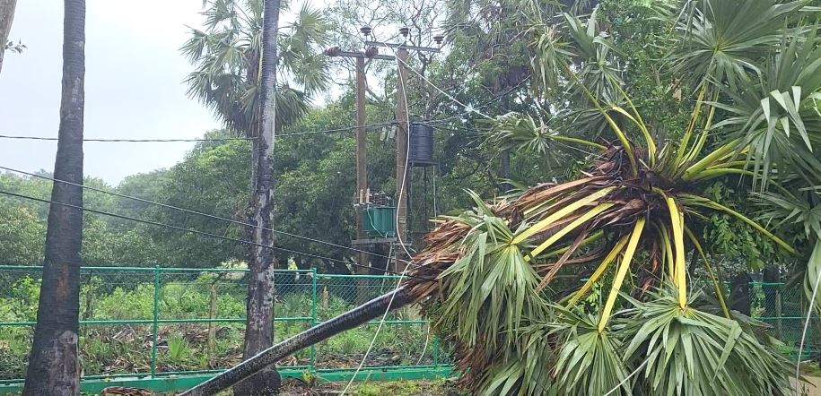 கிளிநொச்சி மாவட்டத்தின் மழையுடனான காலநிலை