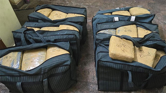 இலங்கைக்கு கடத்தப்படவிருந்த 194 கிலோ கஞ்சா தமிழகத்தில் பறிமுதல்!