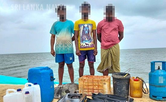 மன்னாரில் ஆமை இறைச்சி மற்றும் முட்டைகளுடன் 03 சந்தேக நபர்கள் கைது!