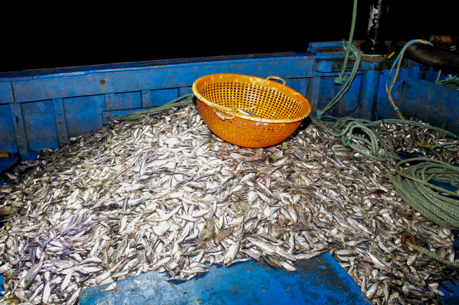 நெடுந்தீவில் கைதான இந்திய கடற்தொழிலாளர்கள் விளக்கமறியலில்!