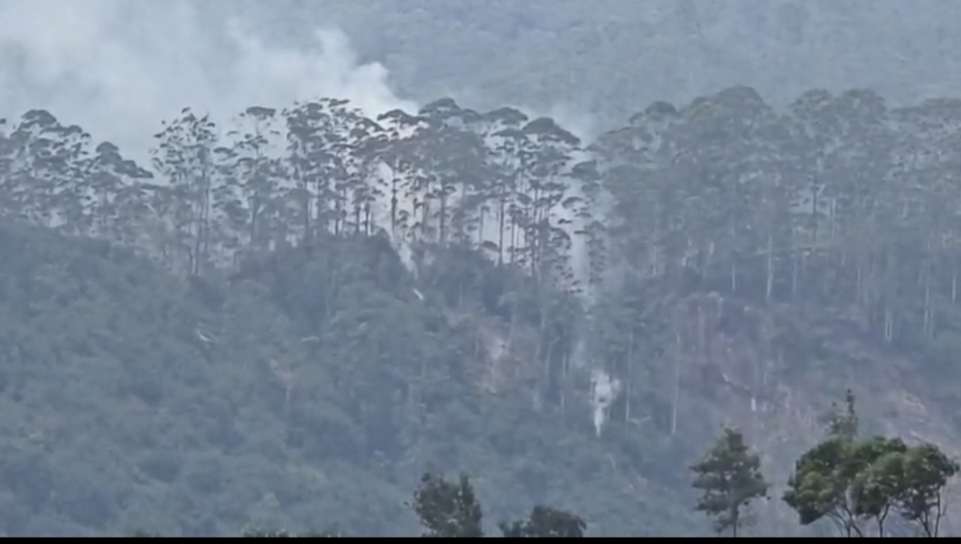 சிவனொளிபாதமலைக்கு அருகிலுள்ள வனப்பகுதயில் திடீர் தீ விபத்து