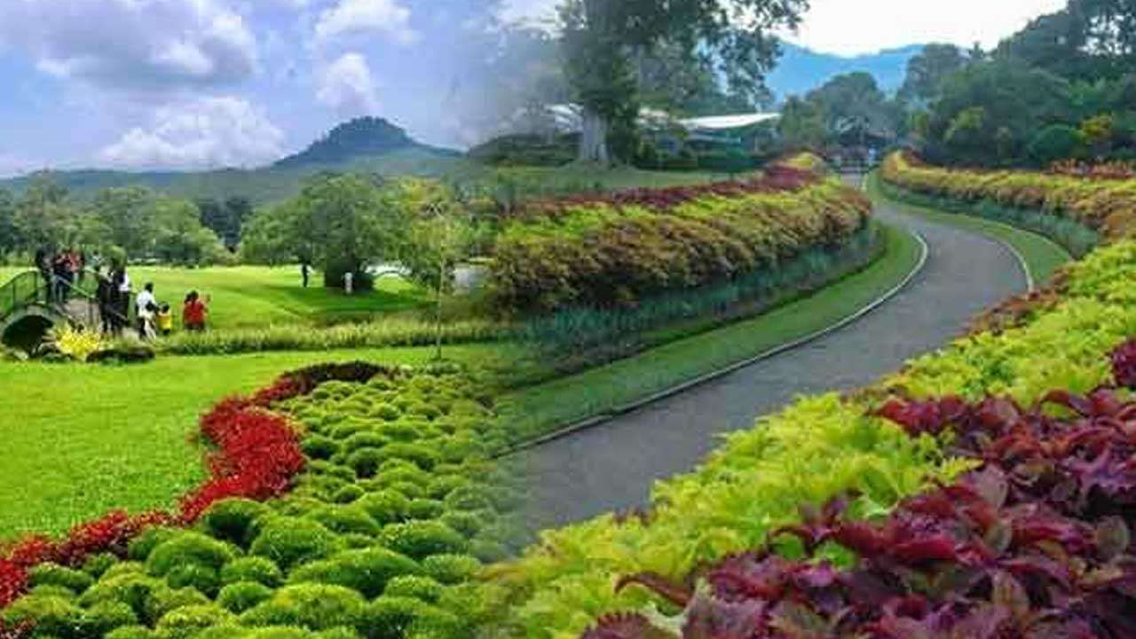 தாவரவியல் பூங்காக்களின் வருமானம் ஒரு பில்லியனை கடந்துள்ளது