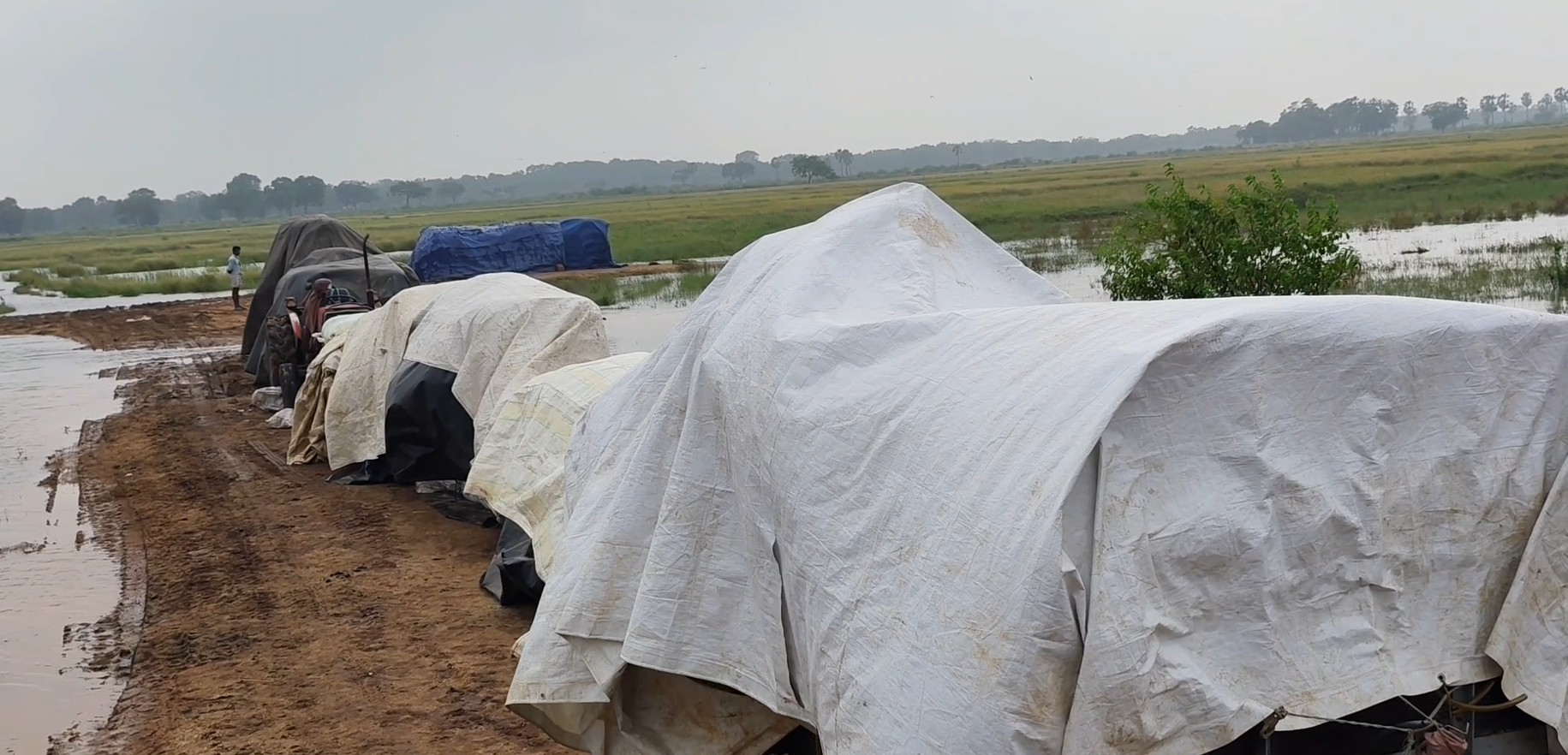 முல்லைத்தீவு அக்கரைவெளியில் 5000 நெல் மூடைகள் சேதம் – 200 இற்கும் மேற்பட்ட விவசாயிகள் பாதிப்பு!