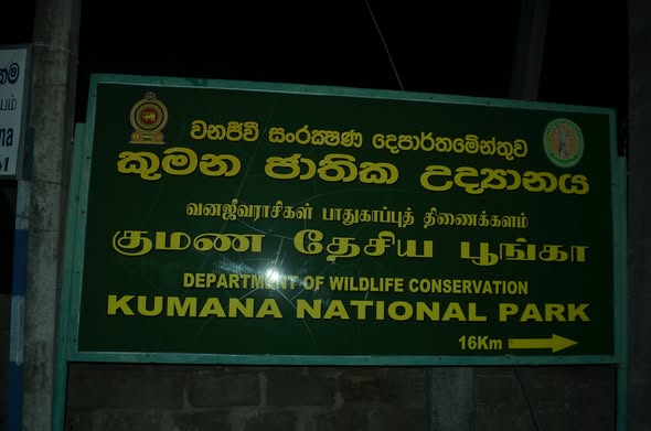 குமண தேசிய பூங்காவிற்குள் வேட்டையாடி கைதான  6 பேரிடம் விசாரணை