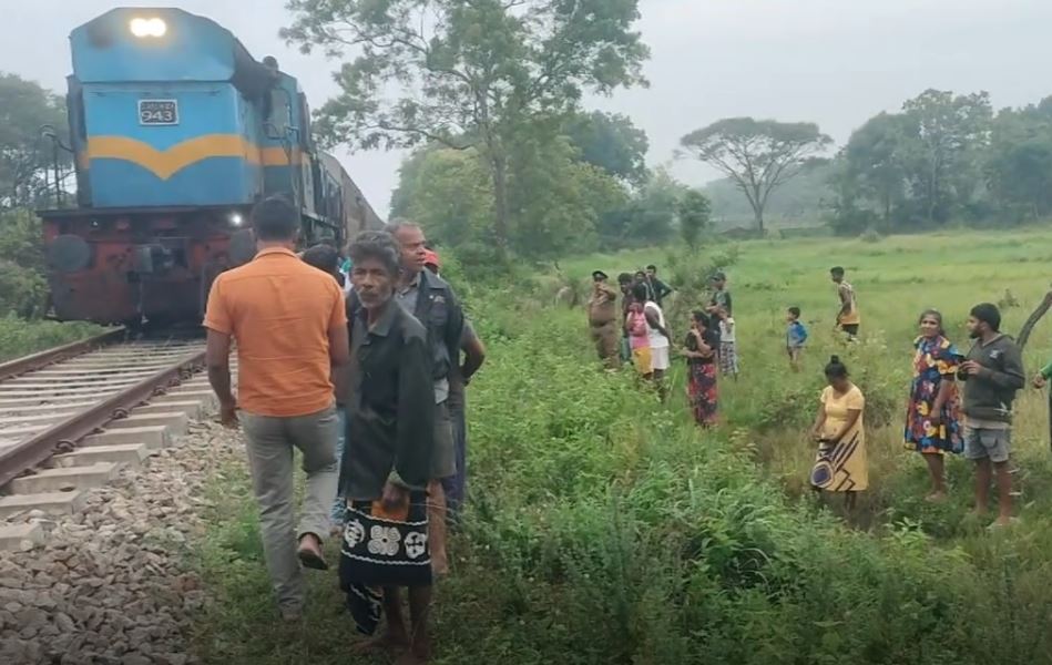 யானை–புகையிரத மோதல்: தடம் புரண்ட ரயில்