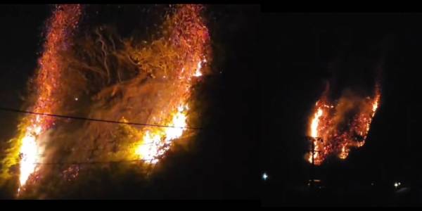 மலையக பகுதிகளில் தொடரும் காட்டு தீ !