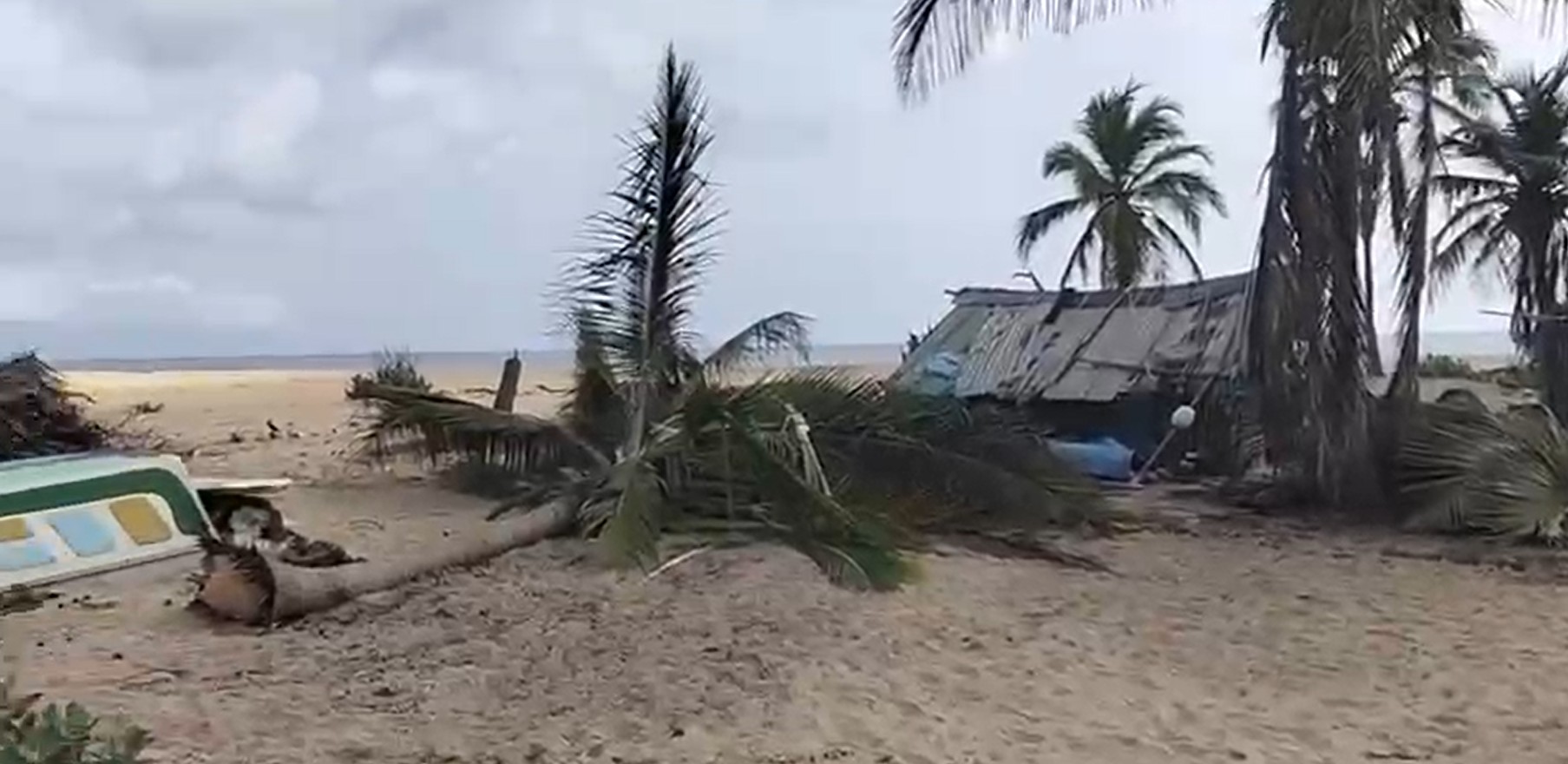 கட்டைக்காடு சுண்டிகுளம் பகுதியில் யானைகள் அட்டகாசம் – வன ஜீவ ராசிகள் துறையினரின் சதியாக இருக்கலாம் என சந்தேகம்!