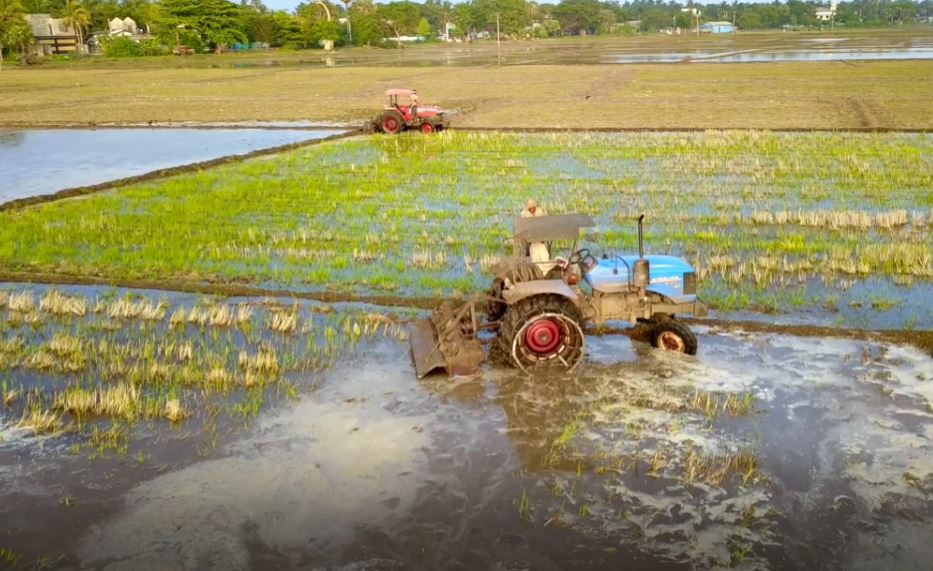 கந்தளாய் குளத்தில் இருந்து சிறுபோக நெற்செய்கைக்காக நீர் திறப்பு!
