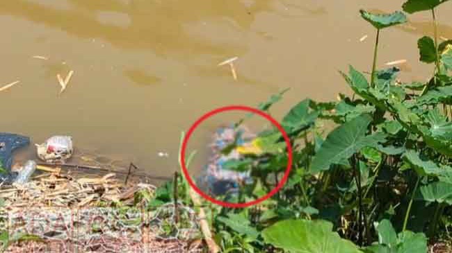 நோர்வூட் – கெசல்கமுவ ஆற்றில், அடையாளம் தெரியாத சடலம்