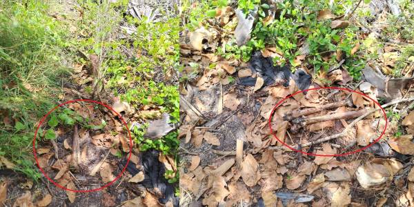 யாழ்ப்பாணம் அல்லைப்பிட்டி பகுதியில் உள்ள தனியார் காணி ஒன்றில் என்பு சிதிலங்கள் மீட்பு!