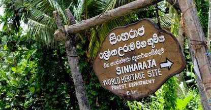 சிங்கராஜா வனப்பகுதியின் குடவ நுழைவாயில் மூடல்