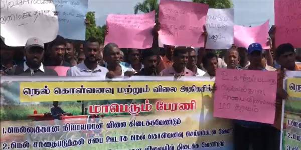 நெல்லுக்கான விலையை அதிகரிக்க கோரி மட்டக்களப்பில் போராட்டம்!