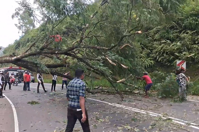 ஹட்டன்-கொழும்பு பிரதான வீதியில் மரம் விழுந்தது போக்குவரத்து இடையூறு!