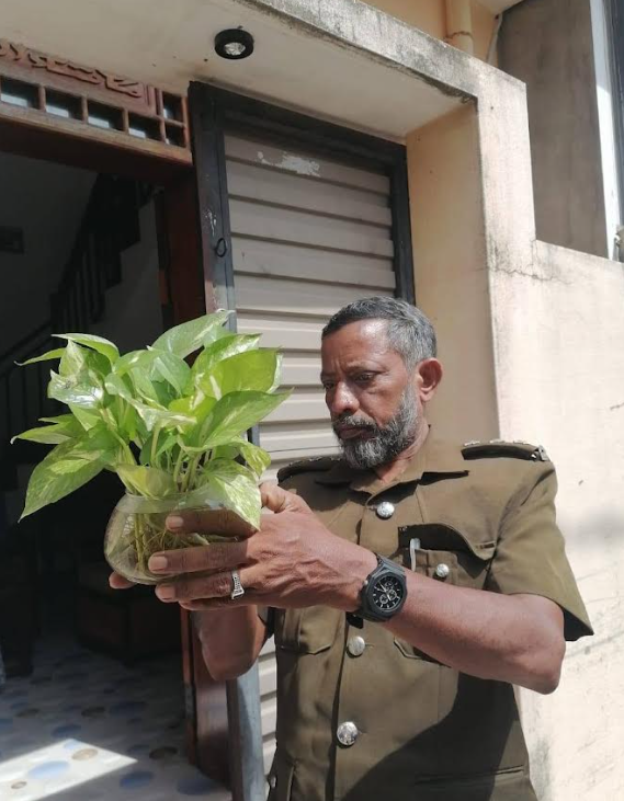 சாய்ந்தமருதில் டெங்கு ஒழிப்பு நடவடிக்கை