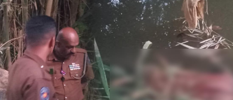 மகாவலி ஆற்றில் சடலமாக மீட்கப்பட்ட நாவலப்பிட்டி குடும்பஸ்தர்!