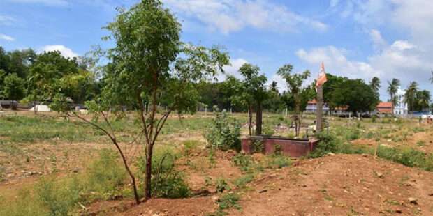 யாழ்ப்பாணத்தில் போலி ஆவணங்களுடன்  காணிகளை கையகப்படுத்தும் கும்பல் அடையாளம்!