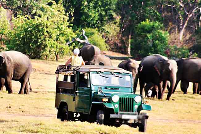 தேசியப் பூங்காக்களில் சுற்றுலா மேலாண்மைத் திட்டம்: புதிய நுழைவாயில் மற்றும் டிஜிட்டல் பயணச்சீட்டு முறை அறிமுகம்!