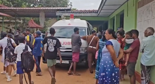 திருமலை பாடசாலையில் குளவிக்கொட்டு 30 மாணவர்கள்